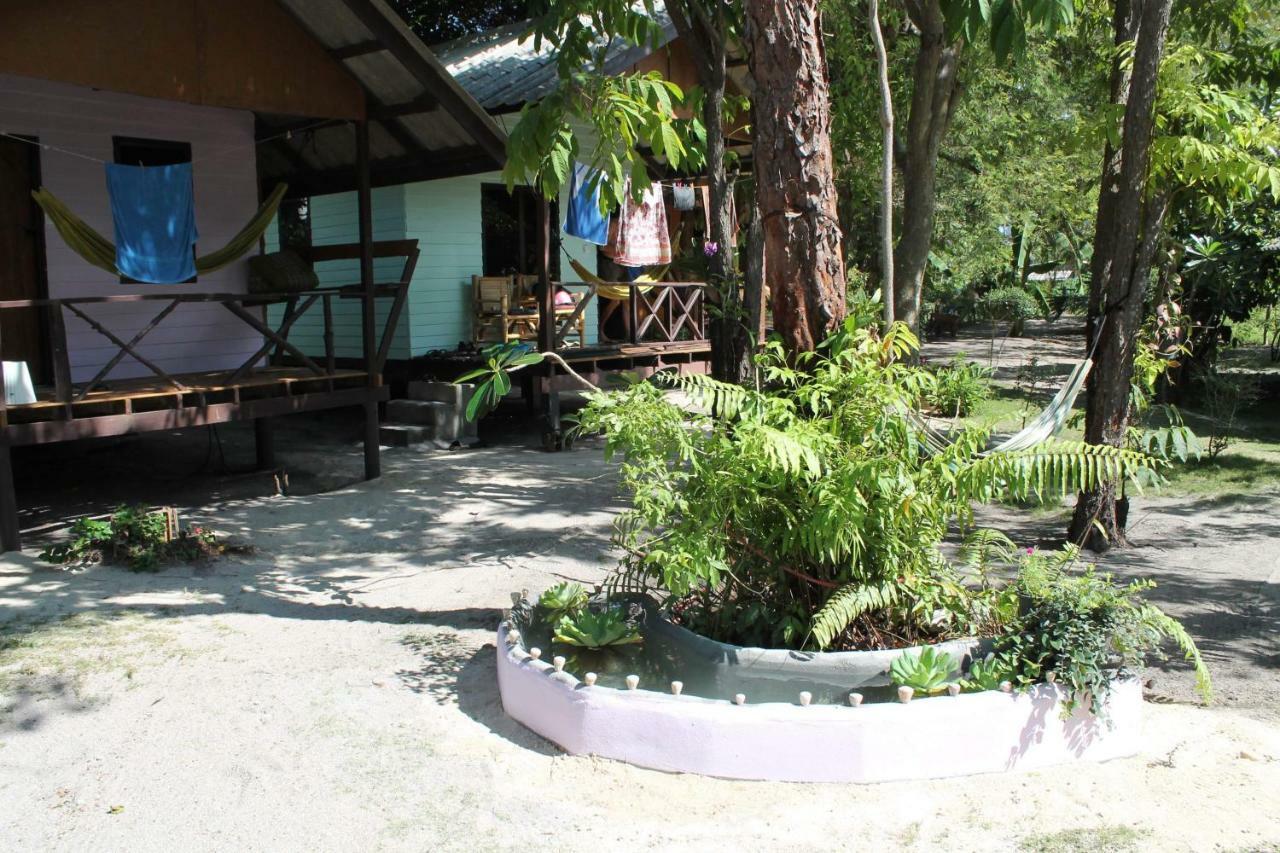 באן תאי Phangan Island מראה חיצוני תמונה